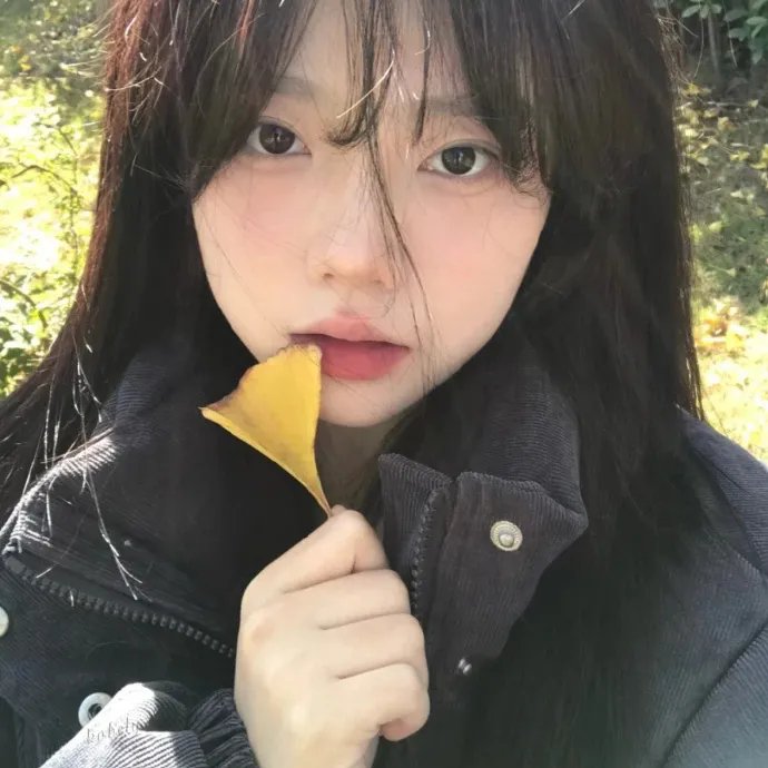 金龟子